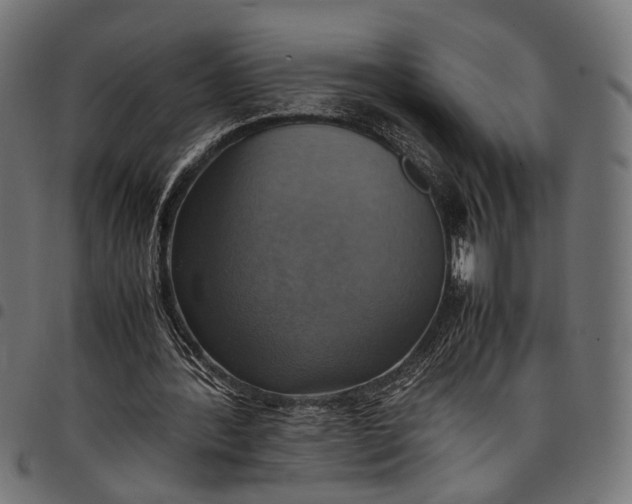 X0000097880388200803281228