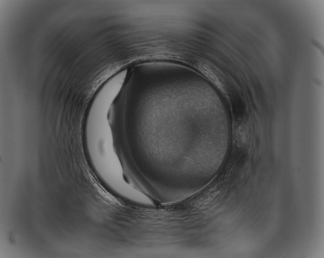 X0000097880389200803281228