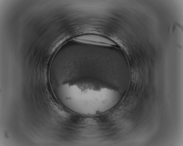 X0000097880390200803281228