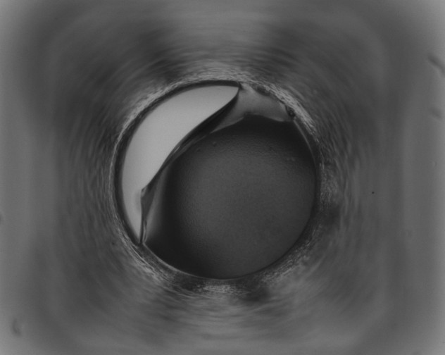 X0000097880391200803281228