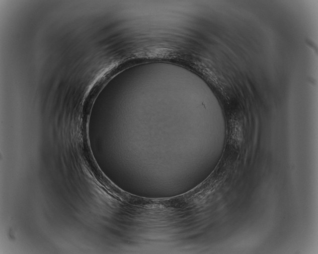 X0000097880392200803281228