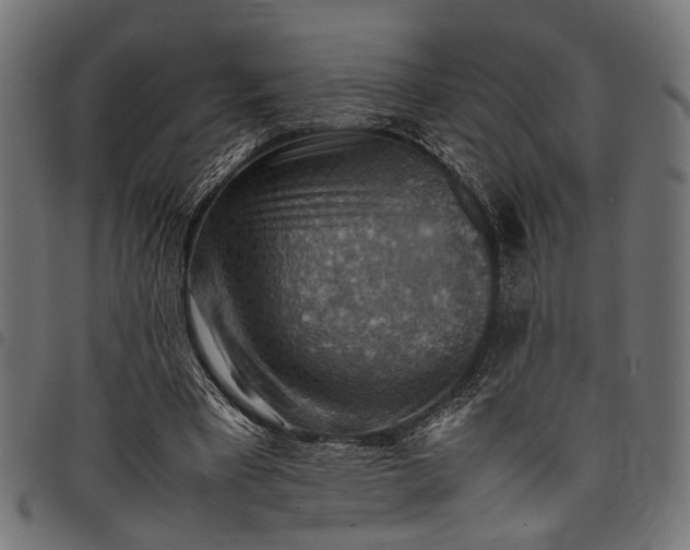 X0000097880393200803281228