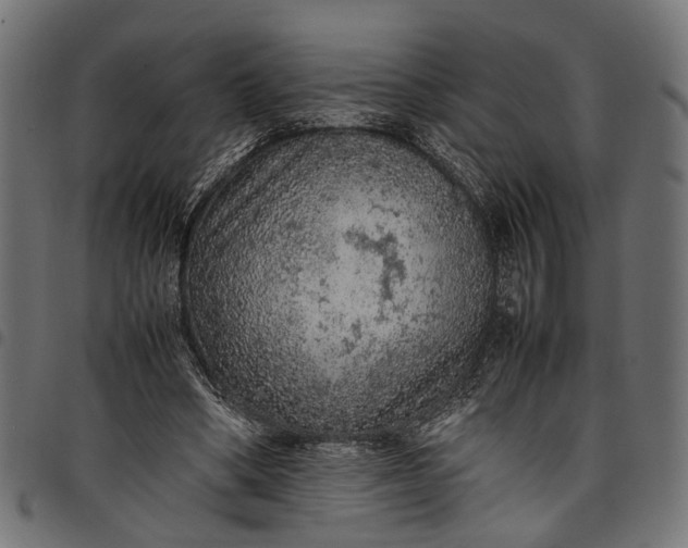 X0000097880394200803281228