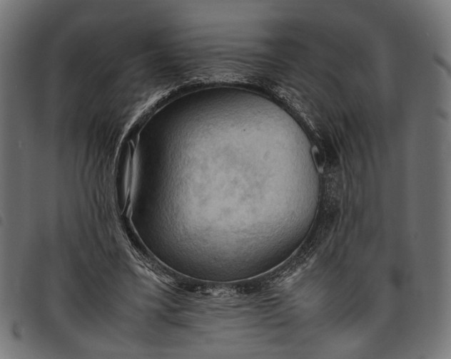 X0000097880395200803281228