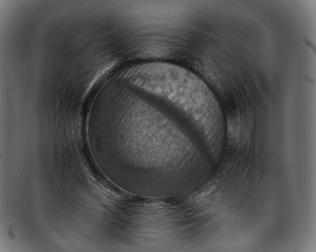 X0000097880396200803281228