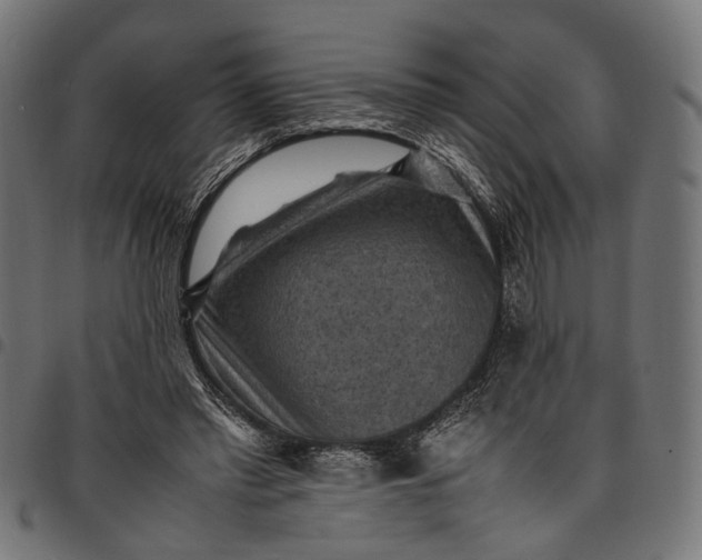 X0000097880397200803281228