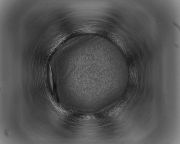 X0000097880398200803281228