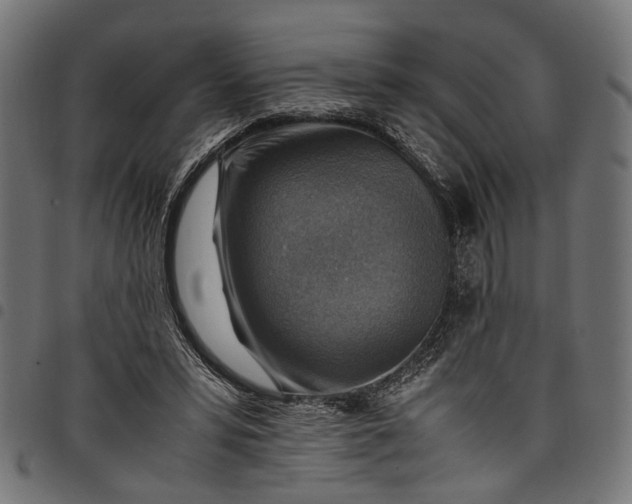 X0000097880399200803281228