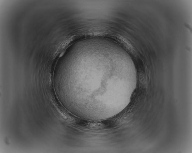 X0000097880401200803281228