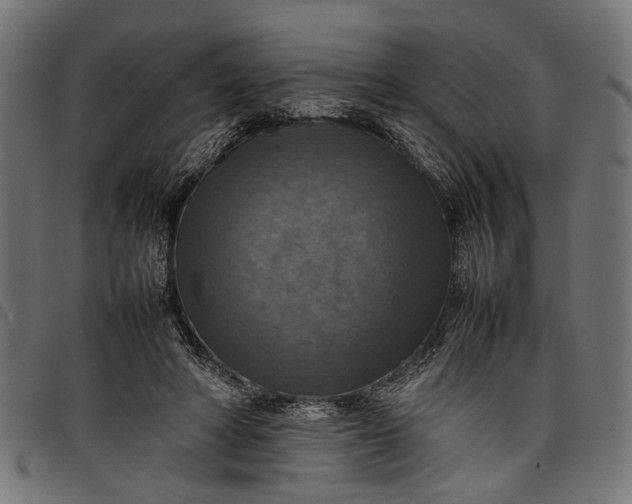 X0000097880402200803281228