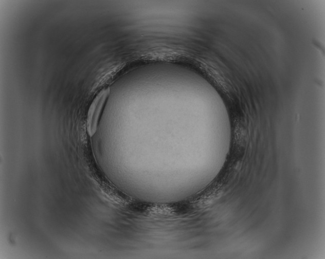 X0000097880403200803281228