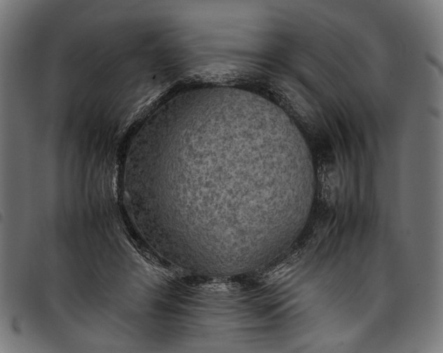 X0000097880404200803281228