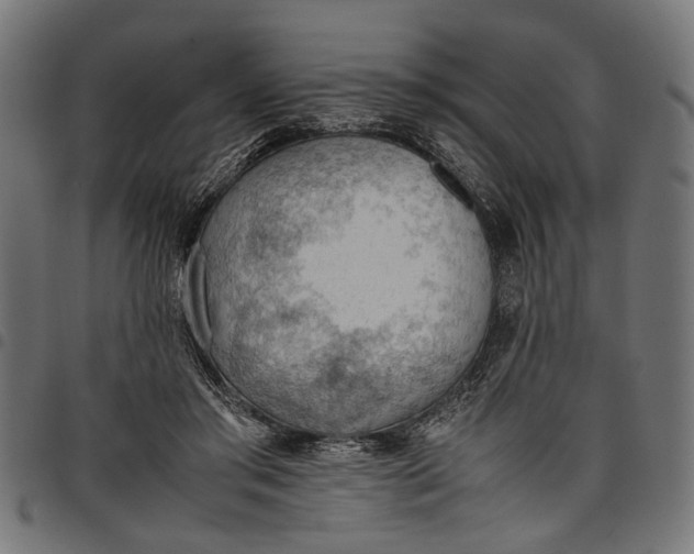 X0000097880405200803281228