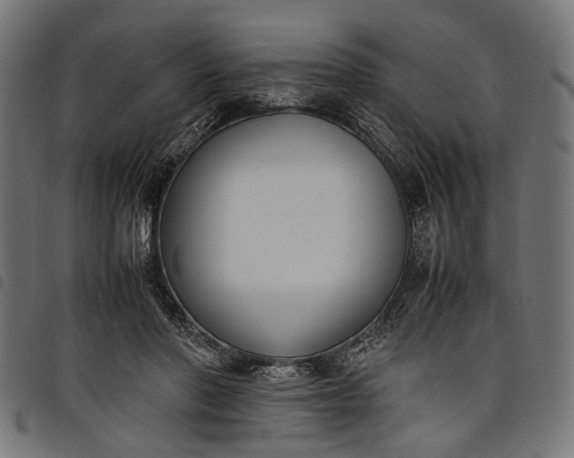 X0000097880406200803281228