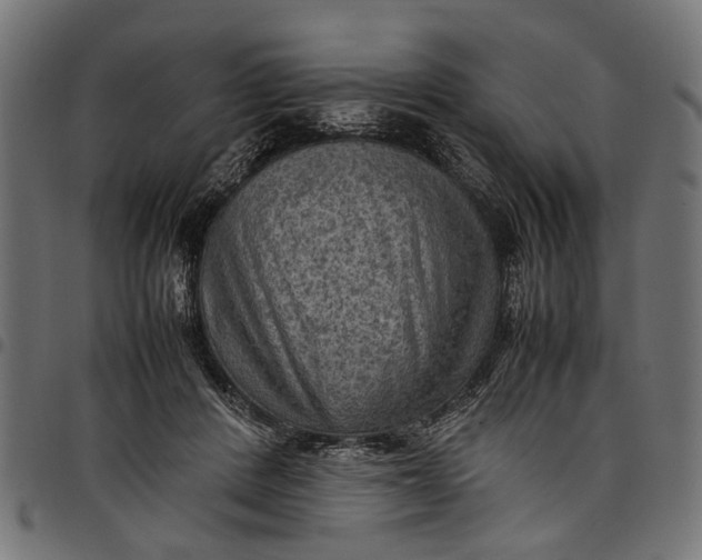 X0000097880408200803281228