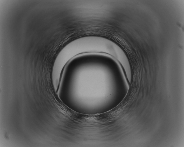 X0000097880409200803281228