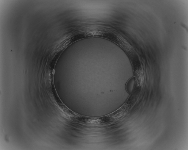 X0000097880410200803281228