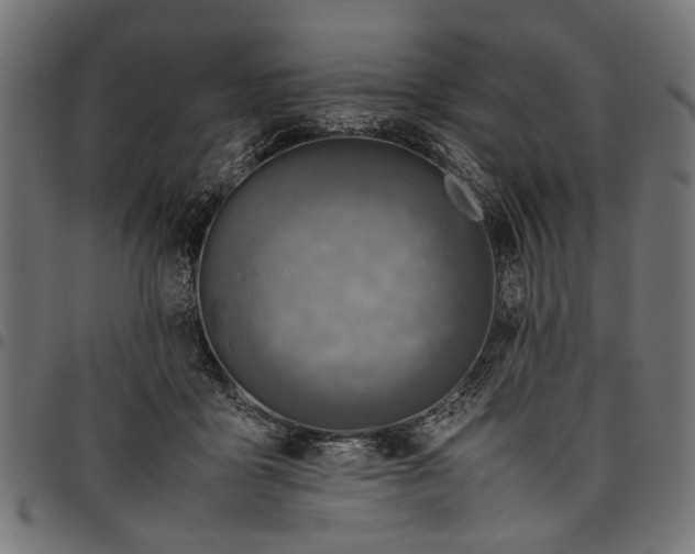 X0000097880411200803281228