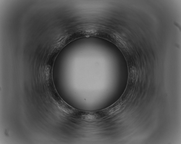 X0000097880412200803281228