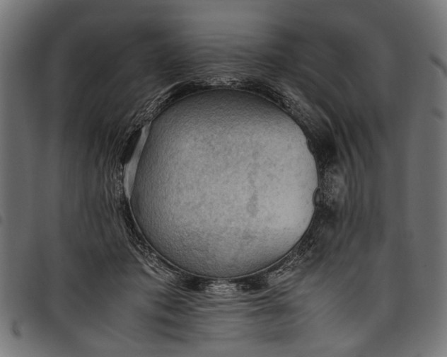 X0000097880413200803281228