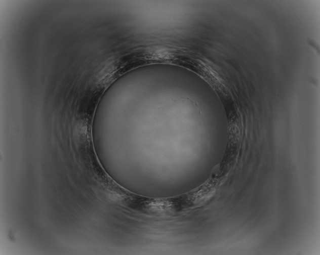 X0000097880415200803281228