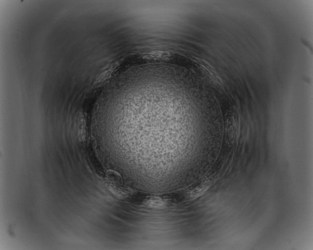 X0000097880416200803281228