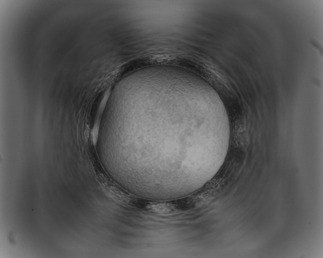 X0000097880417200803281228