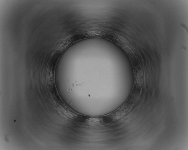 X0000097880418200803281228