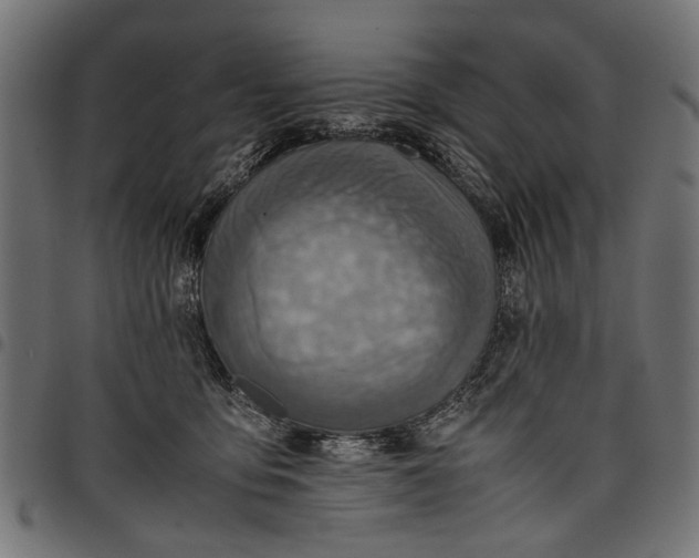 X0000097880419200803281228