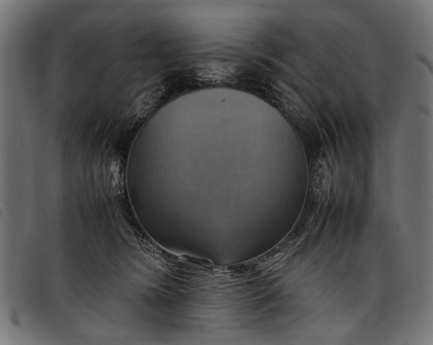 X0000097880420200803281228