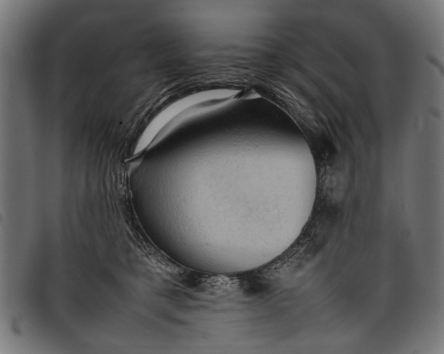 X0000097880421200803281228