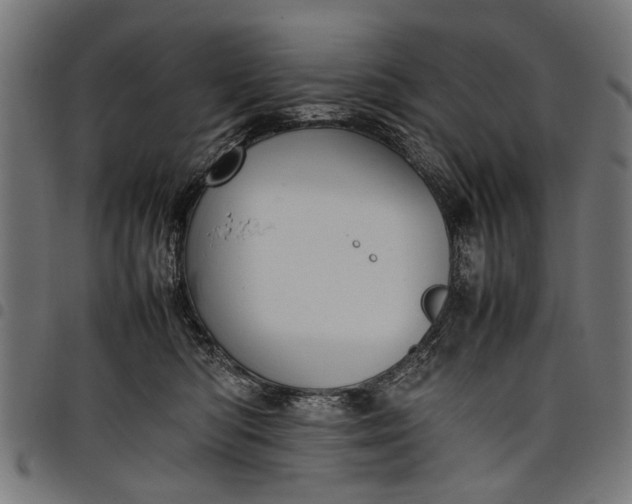 X0000097880422200803281228