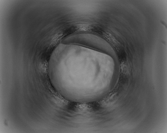 X0000097880423200803281228