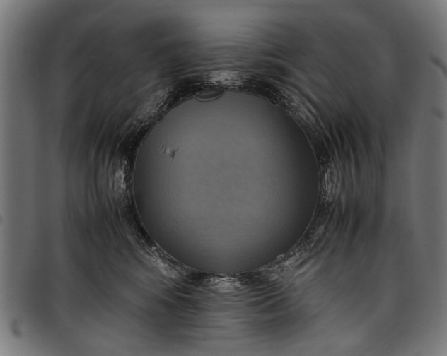 X0000097880424200803281228