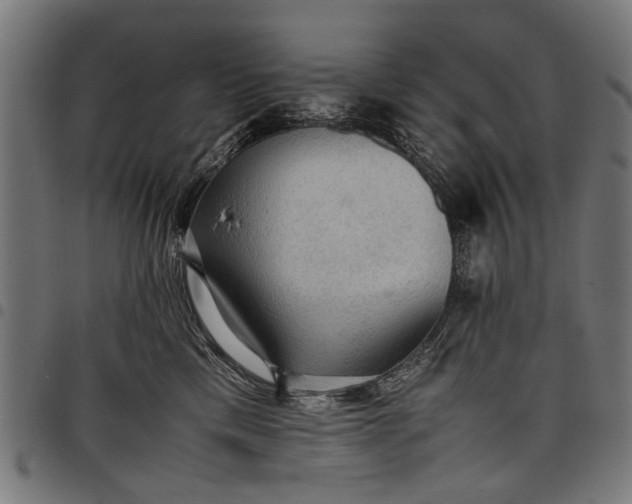 X0000097880425200803281228