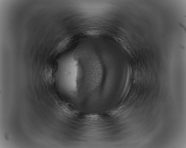 X0000097880428200803281228