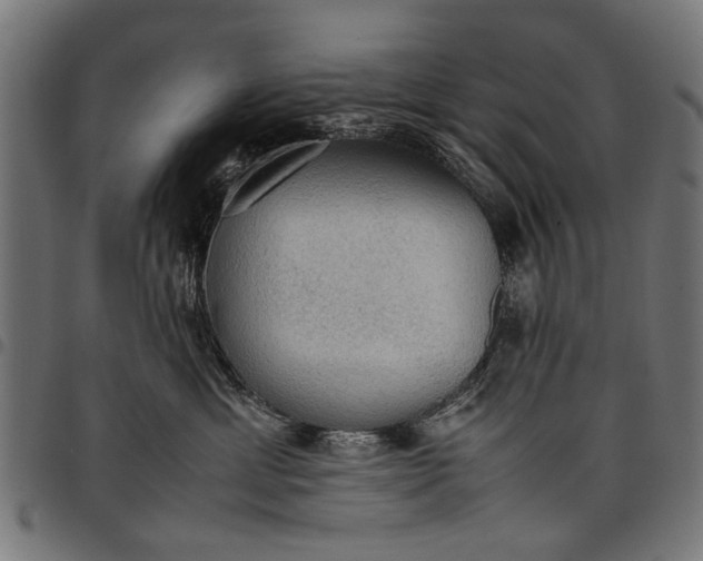 X0000097880429200803281228