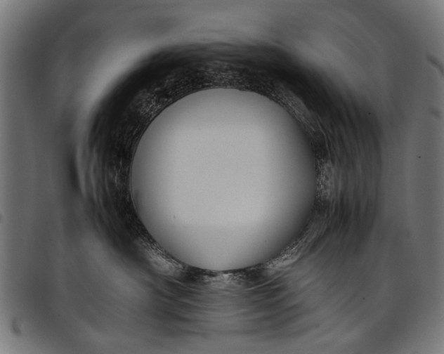 X0000097880430200803281228