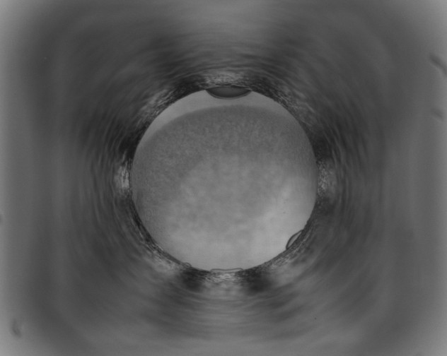 X0000097880431200803281228