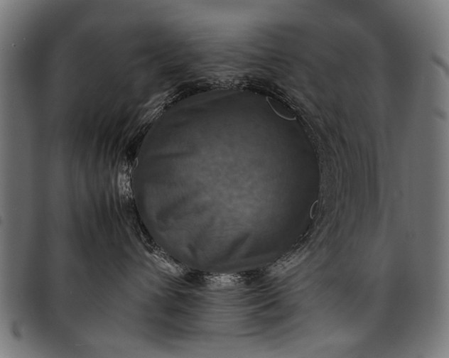 X0000097880432200803281228