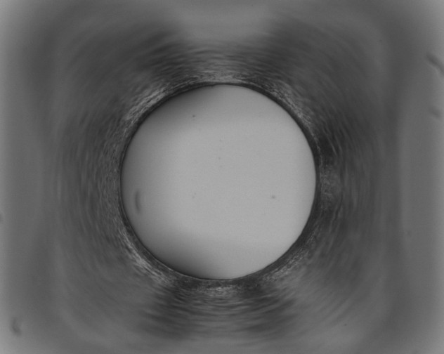 X0000097880433200803281227