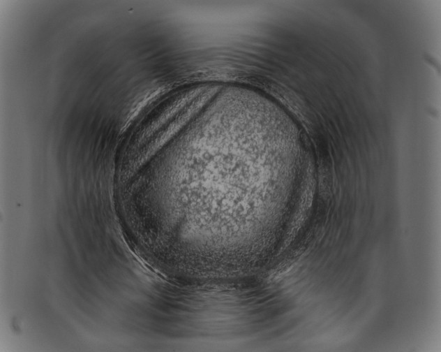 X0000097880434200803281227