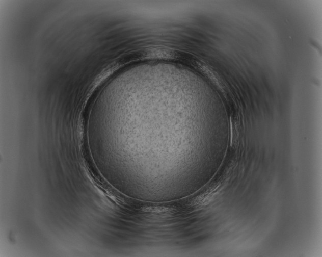 X0000097880435200803281227