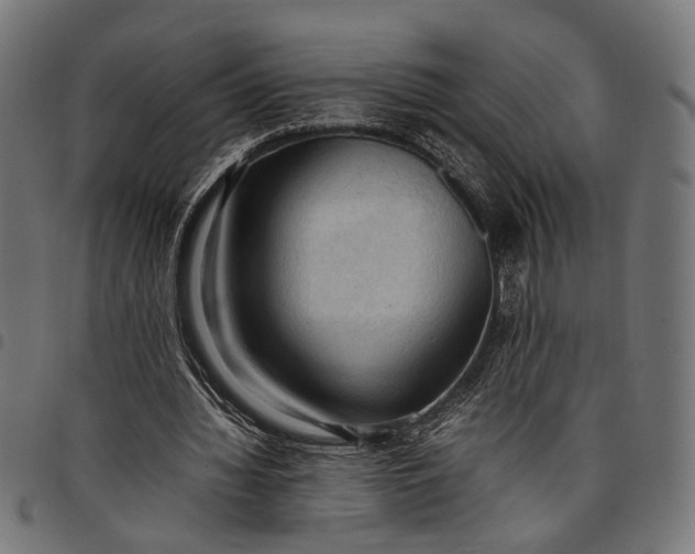 X0000097880436200803281227