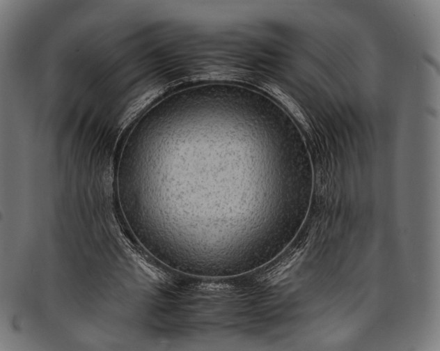 X0000097880437200803281227