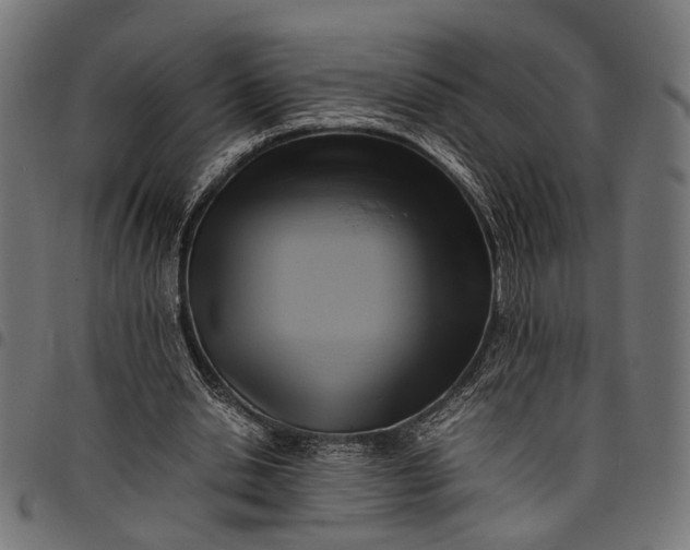 X0000097880438200803281227