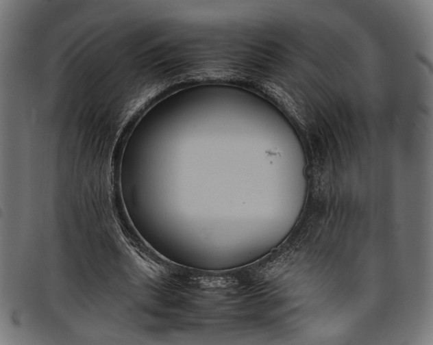 X0000097880439200803281227