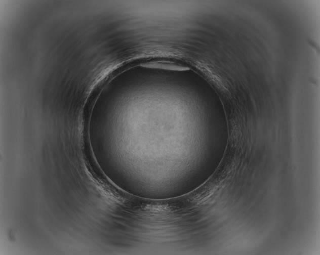 X0000097880440200803281227