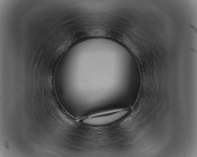 X0000097880441200803281227