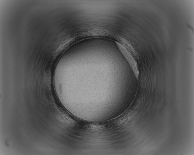 X0000097880442200803281227